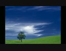マイビデオ