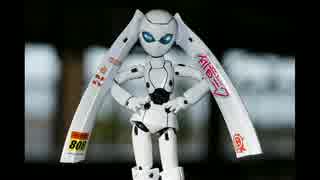 [Hatsune Miku][Megurine Luka]We are the Robots