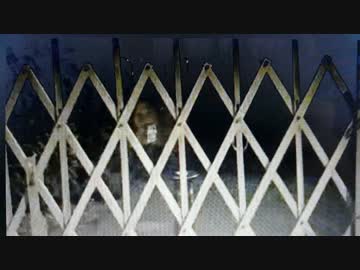20160107_223420