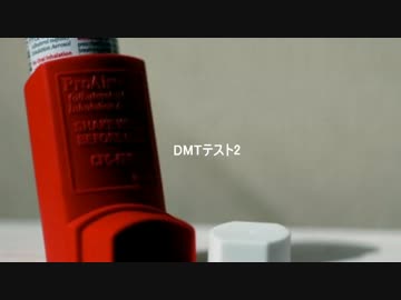 【R-18G】SCP-2480 - An Unfinished Ritual（DMTテスト2）