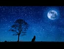 【作業用BGM】星寂の散歩道【癒やしサウンド】