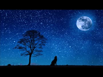 【作業用BGM】星寂の散歩道【癒やしサウンド】