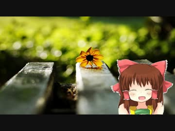 まだ何も知らなかった頃の神社