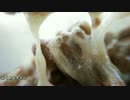 納豆　Natto：Japanese traditional soybean fermented food