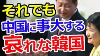 着信拒否されても飼い犬扱いされていても、中国に事大する哀れな韓国!!