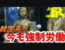 【韓国系】親戚の子2人を6年間“奴隷”にして生活。ひどすぎる。