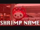 SHRIMP NAME