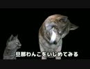 【FaceRig】 怖がりなわんこ？にバイオハザードリベレーションズ2を見せる