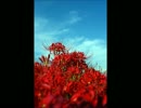 【自作打ち込み】流転する風の音
