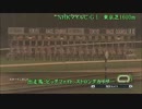 【WP8-2015】現役中に亡くなった馬と､その子孫縛り-改018回