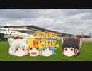 ゆっくり達のテキトーモットー競馬予想８１～日経新春杯とか～