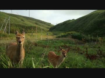 北海道かざぐるまツーリングその４【日本最北端 編】