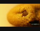 チョコチップクッキー　Chocolate tip cookie