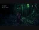 【Bloodborne】初心者狩人の侵入・・・