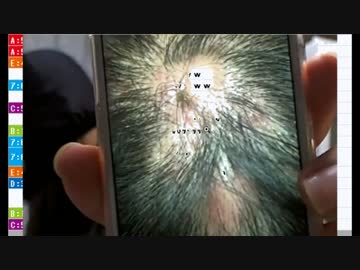 加藤純一が横山緑をディスりまくる センパチみてえなgmが生まれたら最悪