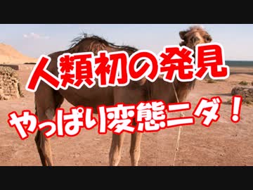【人類初の発見】 やっぱり変態ニダ！
