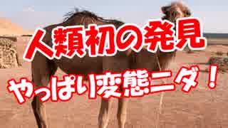 【人類初の発見】 やっぱり変態ニダ！