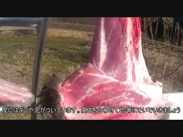 新米流シカの捌きかた講座！！皮編　 猟師狩猟ライフ2-15