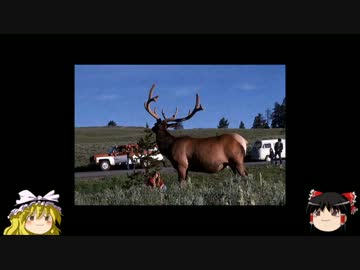 （ゆっくり実況）不定期狩猟部part18