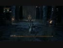 ブラッドボーン＋DLCを初見でクリアしてみたいpart13