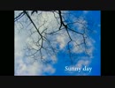 Sunny day
