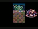 パズドラ　降臨チャレンジ！をネフティスでやっつける！[延長戦]
