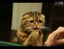 俺とお前の怖けりゃイイ世界～二界