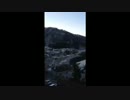 マイビデオPro011835001M