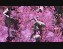 【実況】part54 「激闘！同士討ち大会！！」【The Forest】