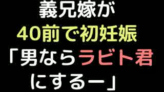 義兄嫁が40前で初妊娠「男ならラビト君にするー」【2ch】