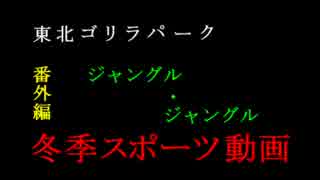 【スキー】東北ゴリラパーク　番外編【スノーボード】