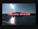 平成28年冬・(´・ω・｀)拝啓今年も多摩湖に雪が降りました。。