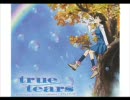 true tearsの「リフレクティア」を歌ってみた