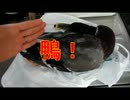 貰った鴨を捌いて食べてみた♪