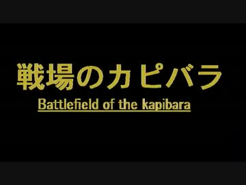戦場のカピバラ　2016.1.3　CIMAX　EP8「これが俺たちの対人道デス！」前編