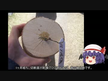 ゆっくり農民24畑を拓いてみませんか？#3