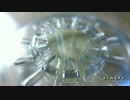 CDケース 　CD case (plastic)