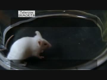 ホモと学ぶ化学史part1 2/3