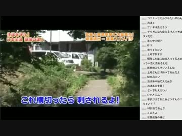 [2016.01.15]永井兄弟　動画鑑賞　３本立て