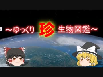 ～ゆっくり　珍　生物図鑑～　新・第23回