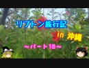ゆっくりリプトン旅行記 in 沖縄～パート18～