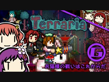 あきゅすずで 猫でもできる Terraria p.16