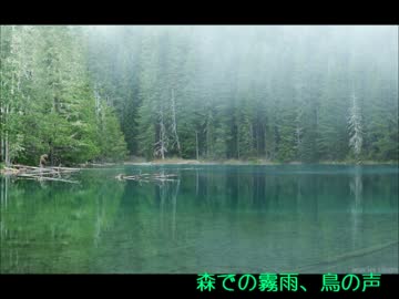 BGS9　「森での霧雨、鳥の声、虫の音」