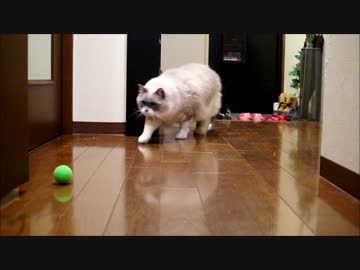 またまたボールあそび