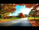 Our website has everything organic just for you!