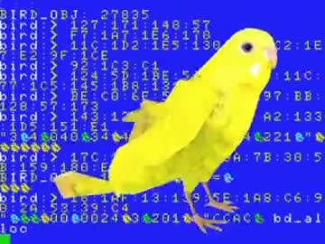 バード　コンソール