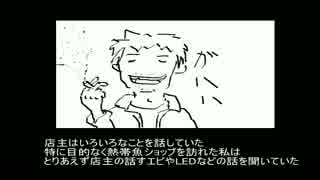 【アクアリウム】ろ材交換＆マングローブの力【ニャモタンゆーみん】