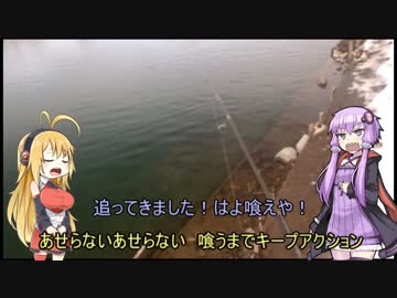 【VOICEROID実況】釣然なるままに、ゆかマキ～2016冬その２～【魚釣り】