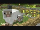 【実況】命誕生の瞬間を見守る軌跡　part3【マインクラフト】