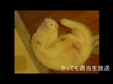 やってもの適当生放送アーカイブ動画　その２２